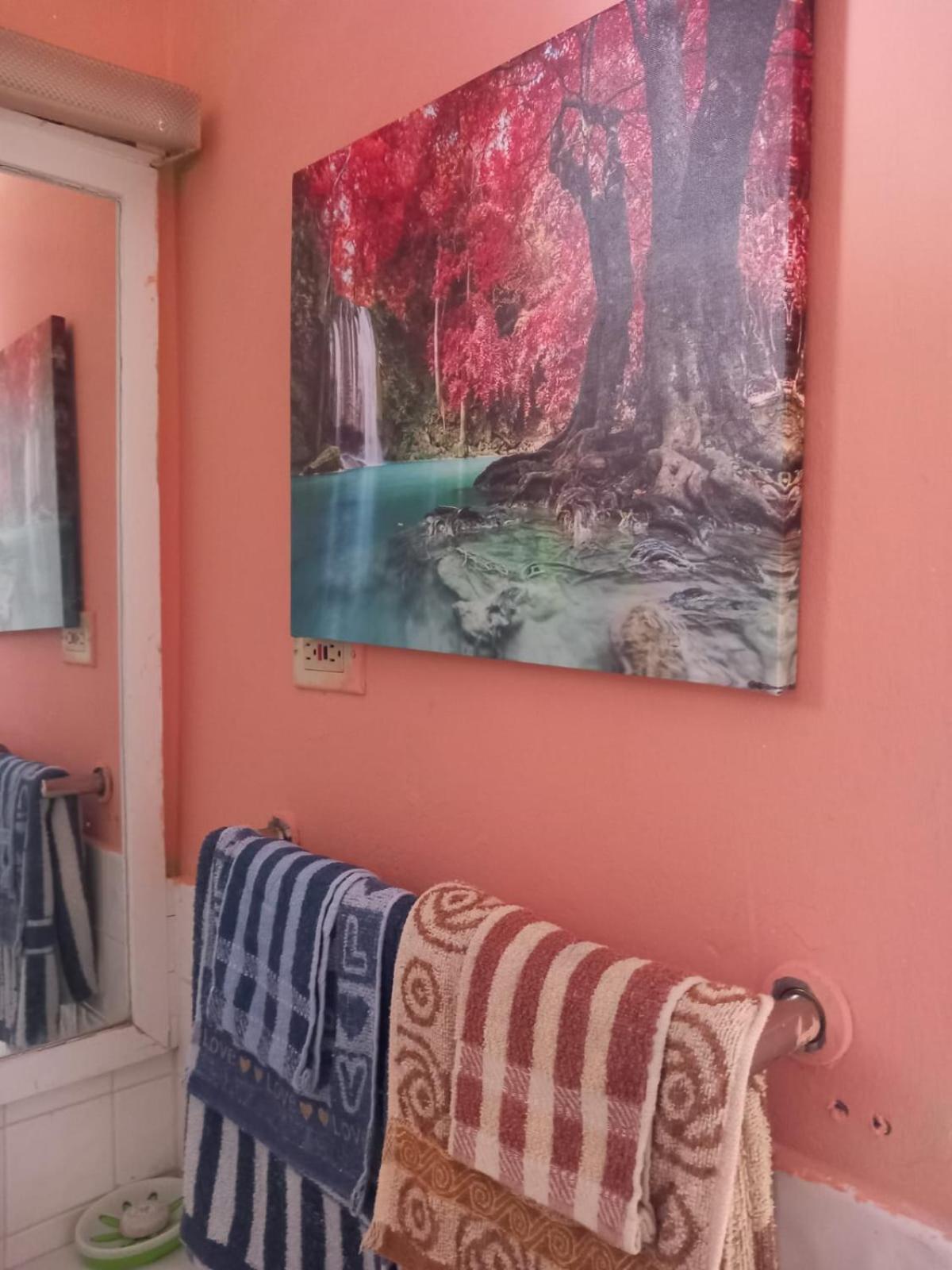 Seacastle Deluxe Studio Montego Bay Exterior foto